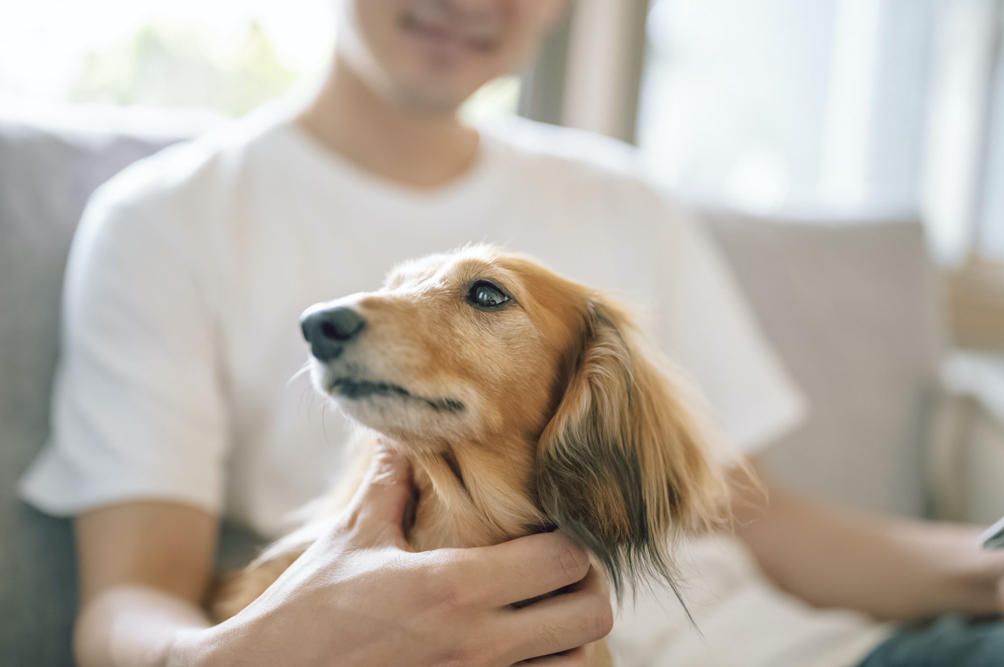 かっこいい かわいいの癒し効果は抜群だ ペット 動物を溺愛する2 5次元俳優